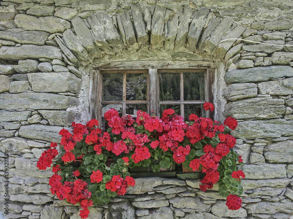Blumenschmuck mit Fenster