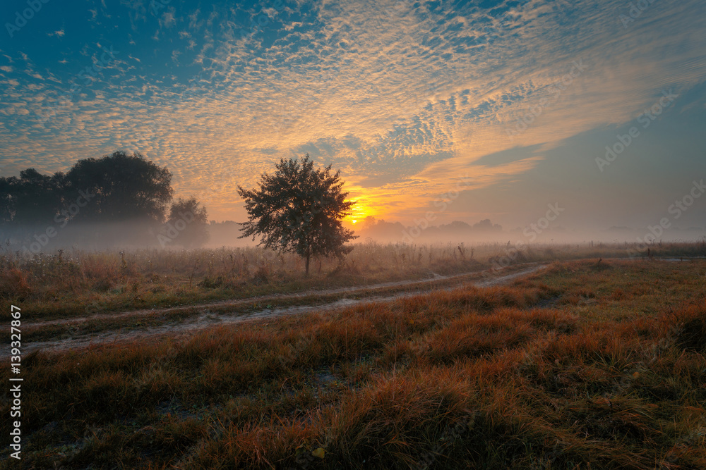 Obraz premium Beautiful misty sunrise landscape. Rural road,