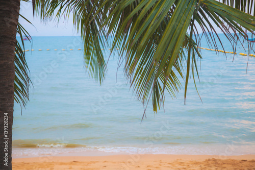 Coconut tree at sea beach | vacation holiday outdoor background
