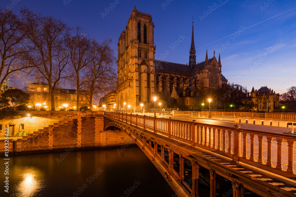 Notre Dame de Paris cathedral at dawn with  the Pont au Double and the Seine River. Ile de La Cite. 4th Arrondissement, Paris, France
