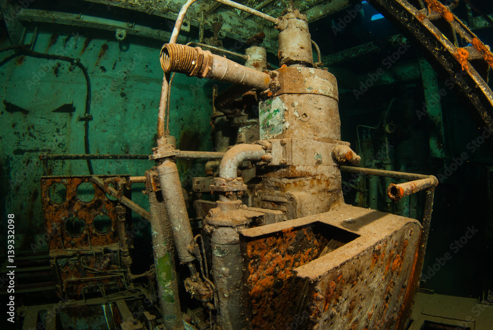 machinery in an underwater shipwreck is now home to a variety of marine ...