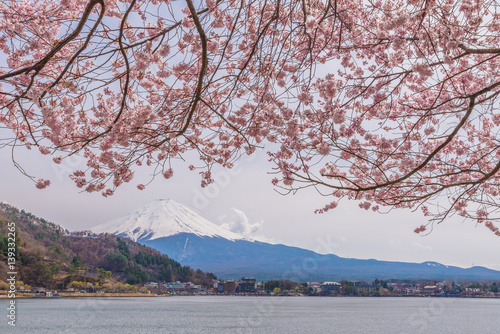 Beautiful cherry blossoms in spring with Mount Fuji, japan © NAVAPON