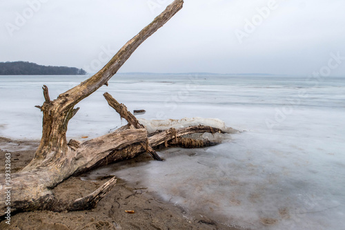 Branche devant un lac gel  . 