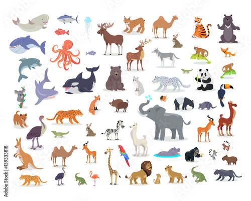 Fototapeta Naklejka Na Ścianę i Meble -  Big Set of World Animal Species Cartoon Vectors 