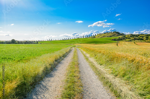 Tuscan hills in the spring