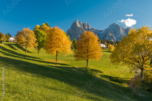 Fototapeta Naklejka Na Ścianę i Meble -  Autumn colors on the Italian Alps in Trentino Alto Adige