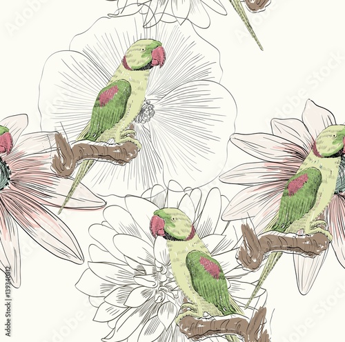 Vector sketch of a parrot with flower. Hand drawn illustration