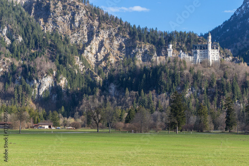 Neuschwanstein Castle