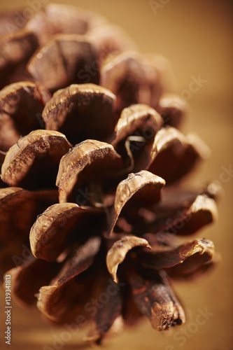 Decorative pine cones