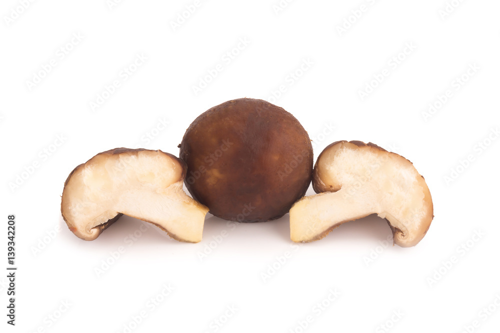 Shiitake mushroom on the White background Shiitake mushroom on the White background