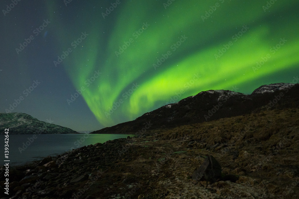 Nordlicht / Polarlicht - Northern Light - Aurora borealis