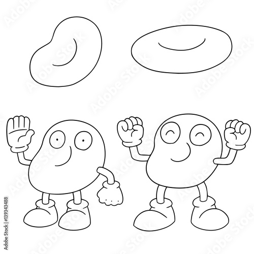 vector set of red blood cell