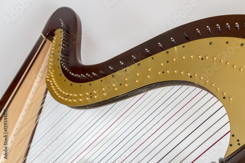 Harp musical instrument