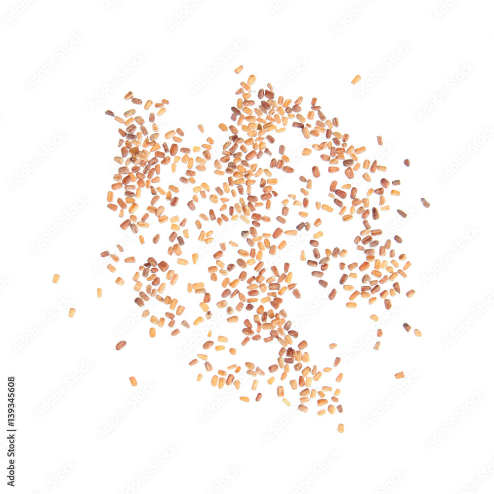 Seeds of common foxglove (Digitalis purpurea) isolated on white background Seeds of common foxglove (Digitalis purpurea) isolated on white background