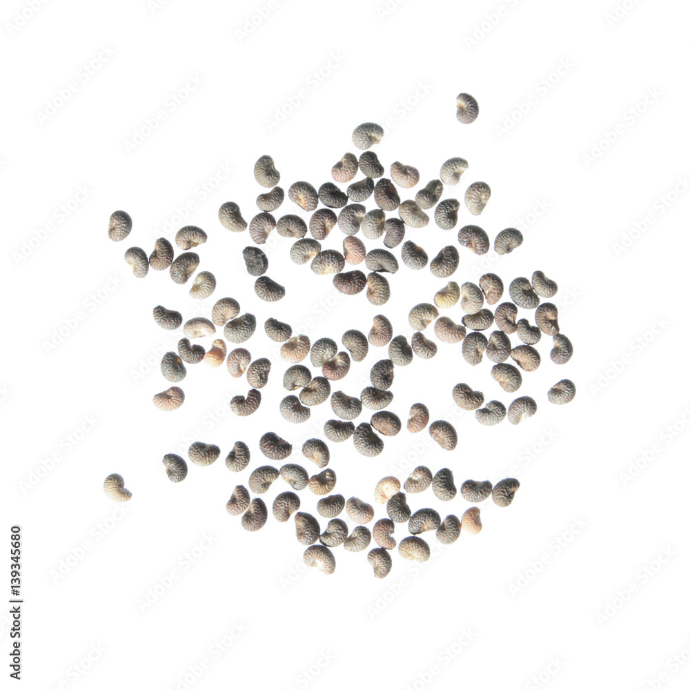 Seeds of common mignonette (Reseda odorata) isolated on white background Seeds of common mignonette (Reseda odorata) isolated on white background