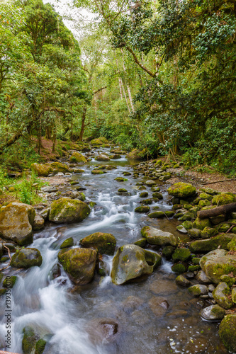 Tropical River with moss rocks flowing into the Jungle
