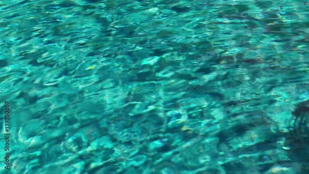water surface ripple background using water surface ripple background using