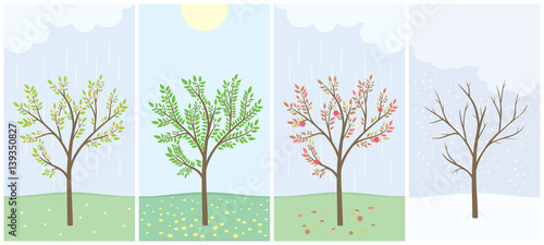 Four season with tree - spring, summer, autumn and winter