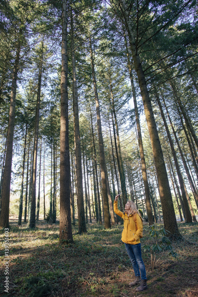 stylish hipster woman with backpack looking at amazing woods and mountains in summer, travel concept, space for text stylish hipster woman with backpack looking at amazing woods and mountains in summer, travel concept, space for text