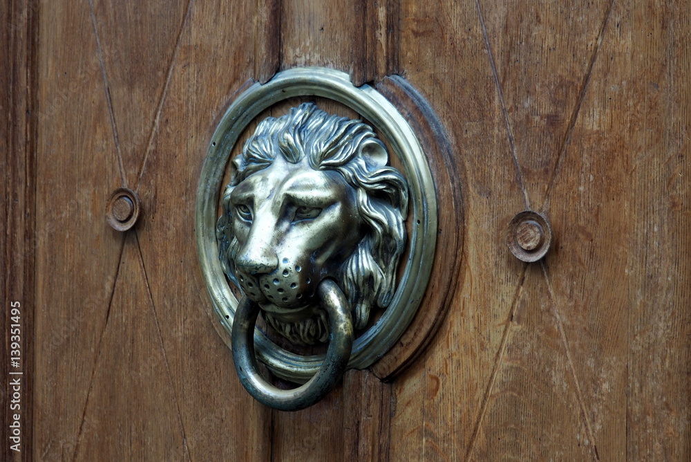 Lviv Door