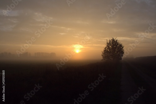 Sonnenaufgang mit Nebel