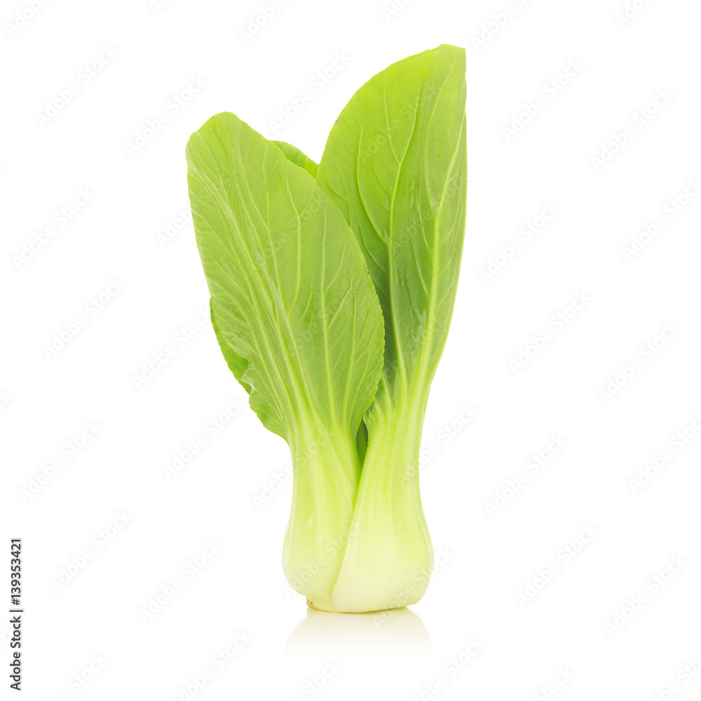 Bok choy vegetable isolated on the white background Bok choy vegetable isolated on the white background