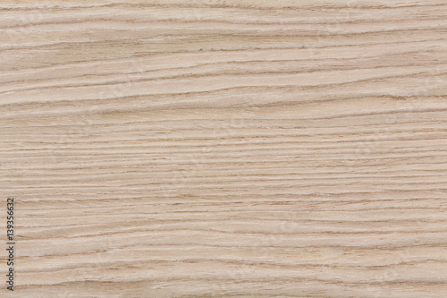 Exclusive wood texture on macro. Natural background closeup.