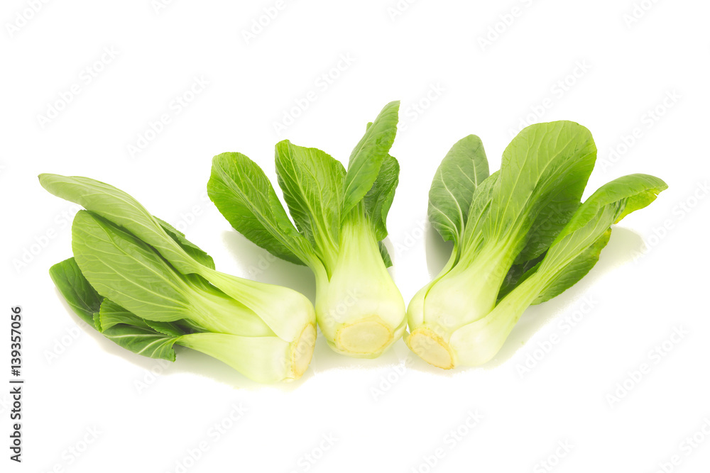 Bok choy vegetable isolated on the white background