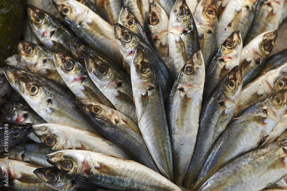 Obraz premium Fishes 