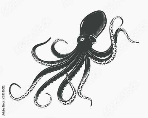 Octopus or cuttlefish, underwater spineless mollusk