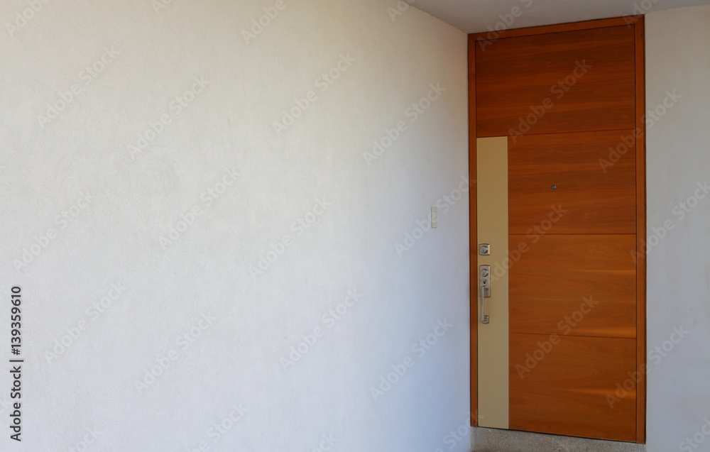 Fototapeta premium Clean and stylish front door.