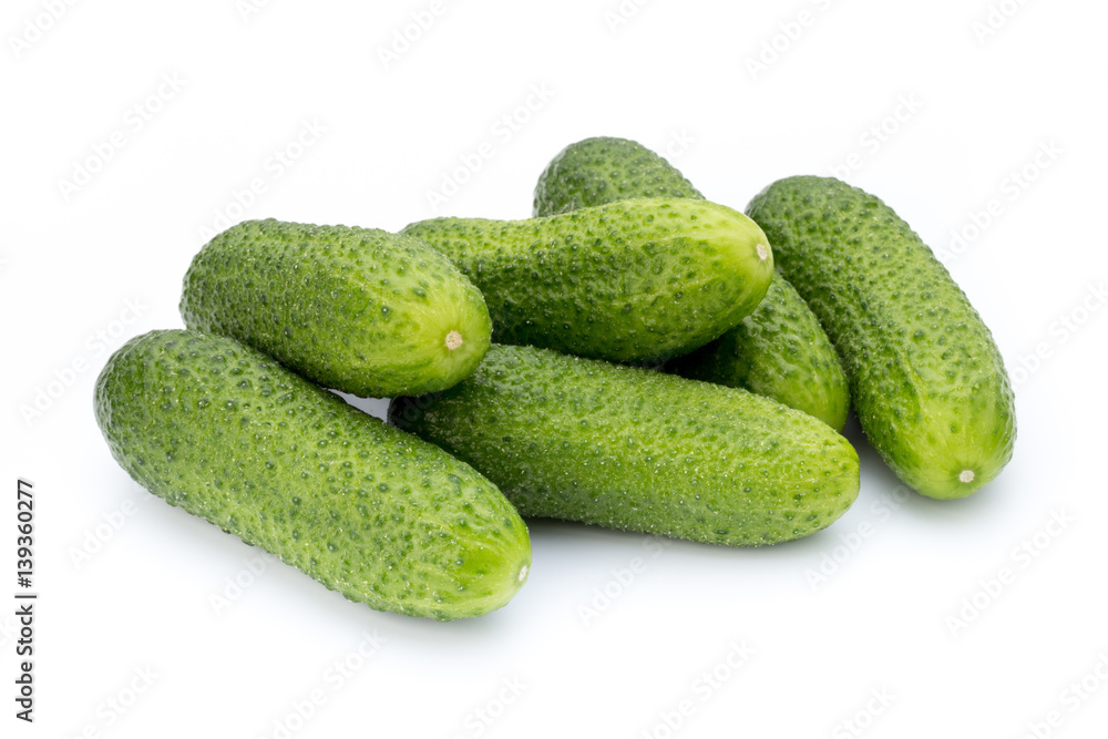 The first spring ecologically cucumbers. The first spring ecologically cucumbers.