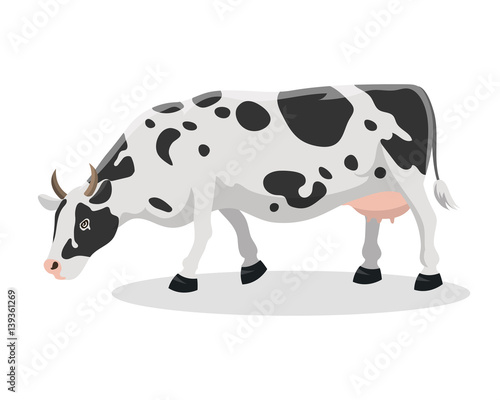 Cartoon cow farm animal vector illustration.