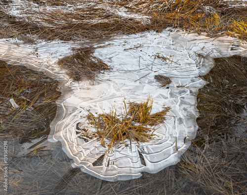 Frozen Pond No. 2, Yosemite, 2017
