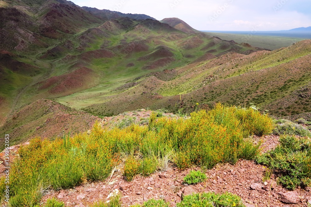 Fototapeta premium The steppes of Kazakhstan