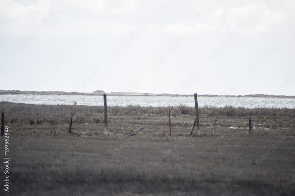 Chincoteague Chincoteague