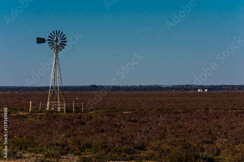 windmill in coto de donana