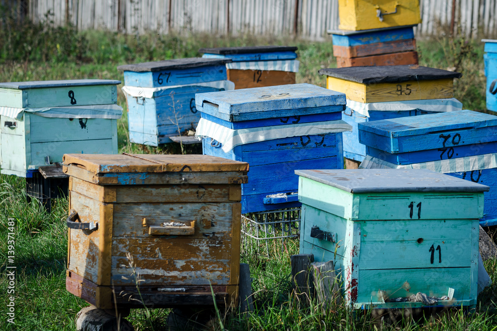 Wooden Beehives. Apiary. Wooden Beehives. Apiary.