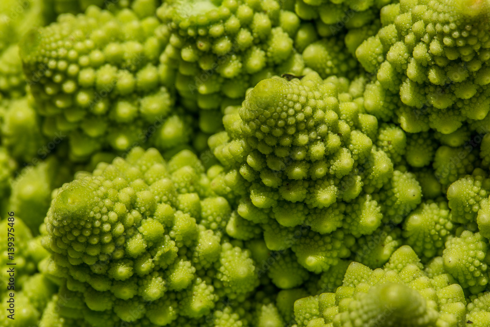 Close Up of a Romanesco Broccoli Close Up of a Romanesco Broccoli