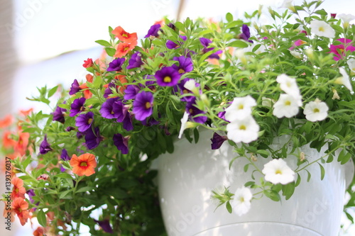 Wallpaper Mural million bells Torontodigital.ca