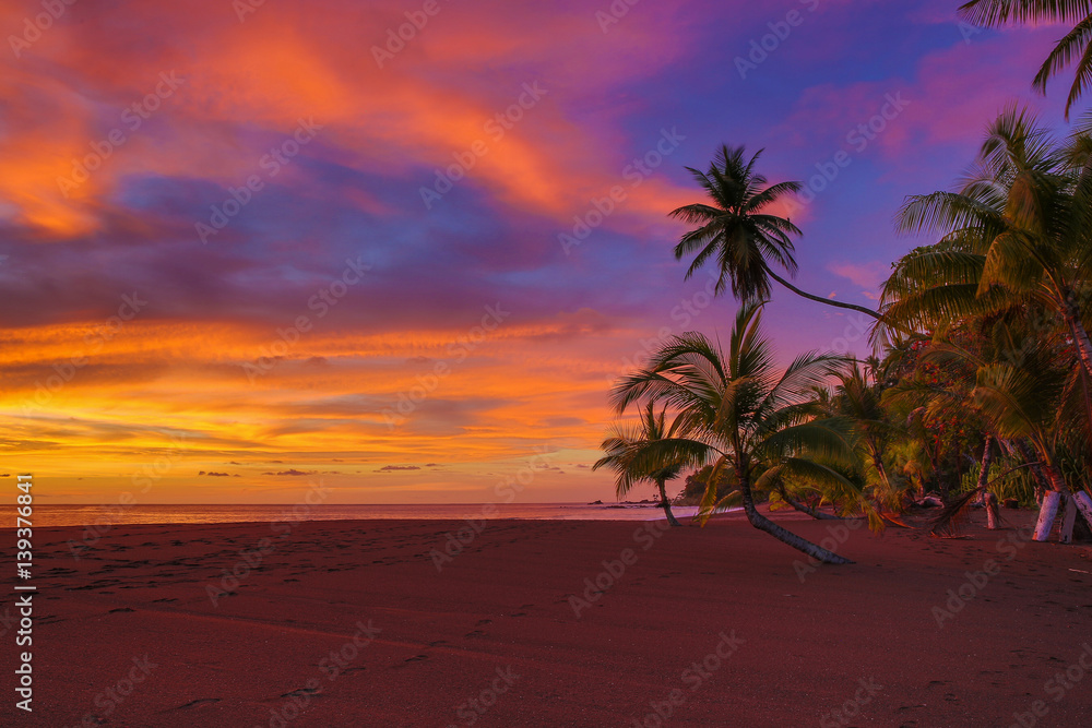 Vivid ocean sunset with clouds and palm trees