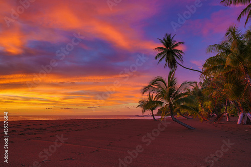 Fototapeta Naklejka Na Ścianę i Meble -  Vivid ocean sunset with clouds and palm trees