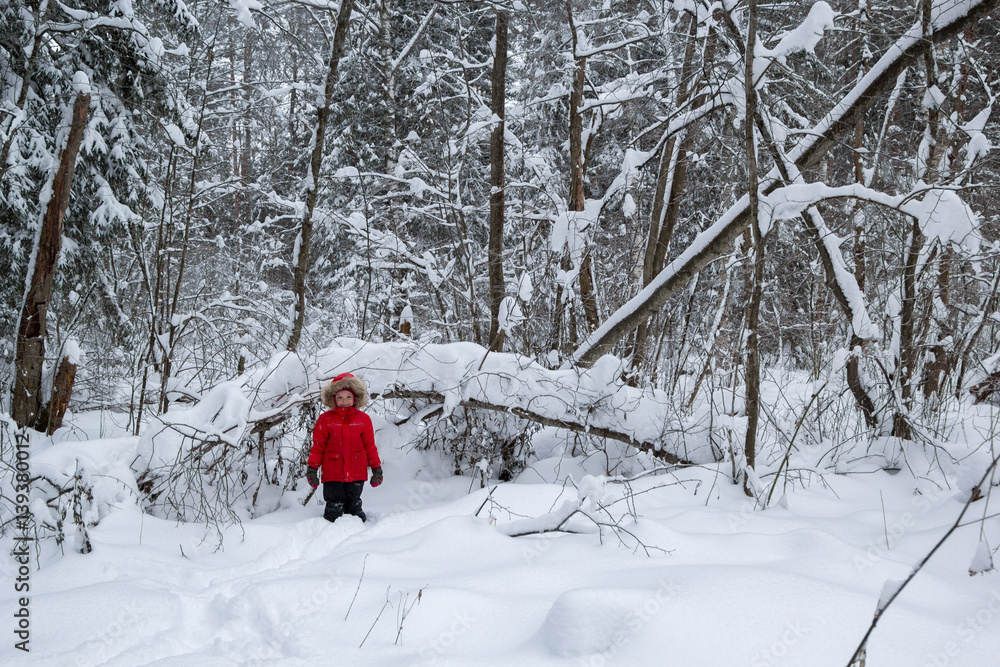little girl in a red jacket in snowy forest