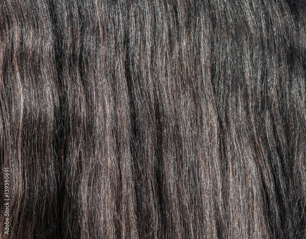 Closeup of gray horse long glitter mane. Closeup of gray horse long glitter mane.