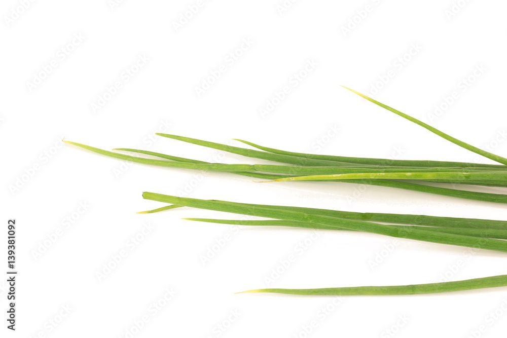 Fototapeta premium Green onion/Spring onion isolated on the white background
