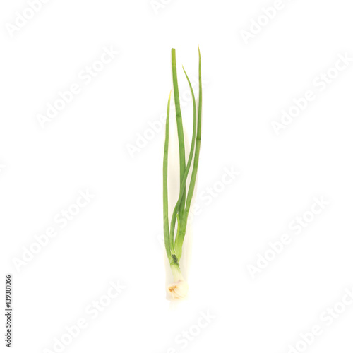 Green onion Spring onion isolated on the white background