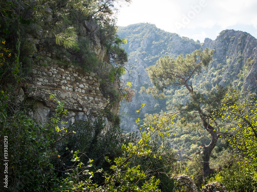 Olympos ruins  Cirali  Turkey