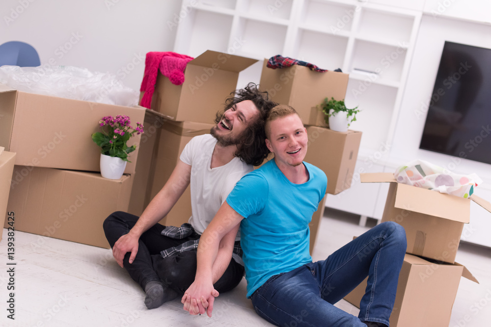 young gay couple moving in new house young gay couple moving in new house