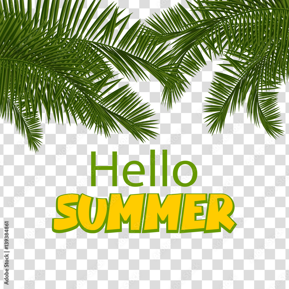 Obraz premium Hello summer green palm leaf transparent