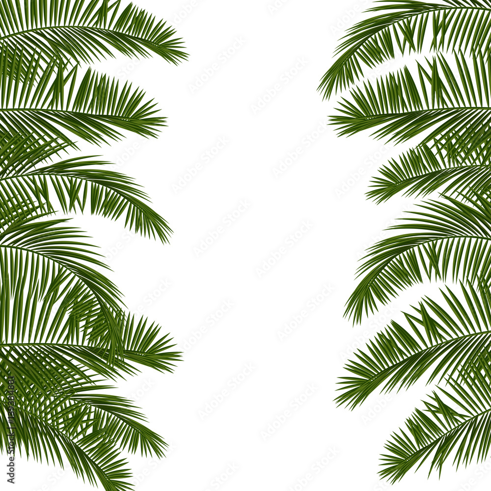 Fototapeta Hello Summer green palm leaf